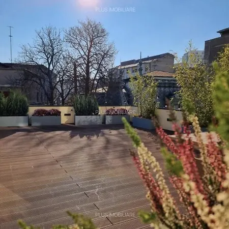 Modern Oasis *