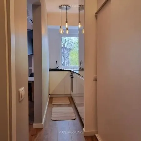 Modern Oasis * Bucureşti