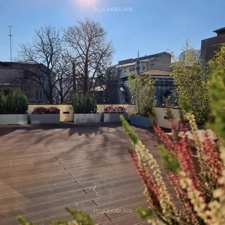 Modern Oasis *