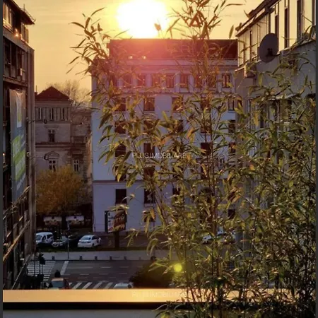 Modern Oasis Apartament